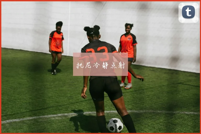 托尼冷静点射