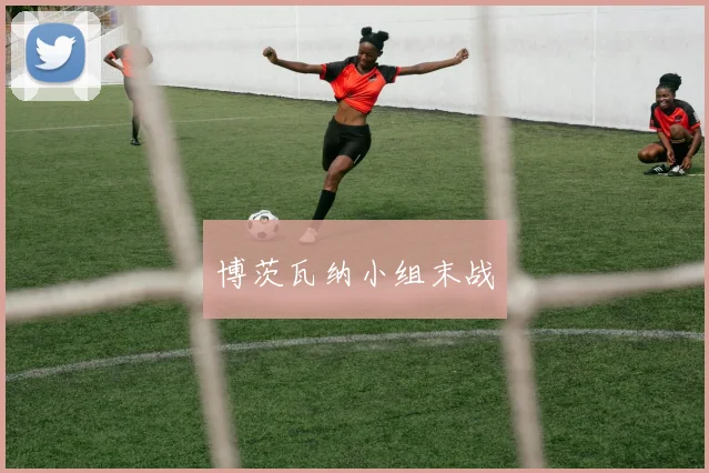 博茨瓦纳小组末战