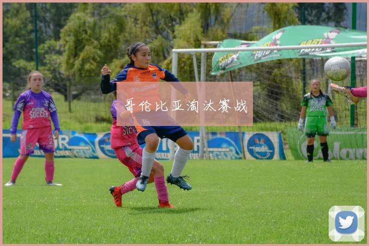 哥伦比亚淘汰赛战