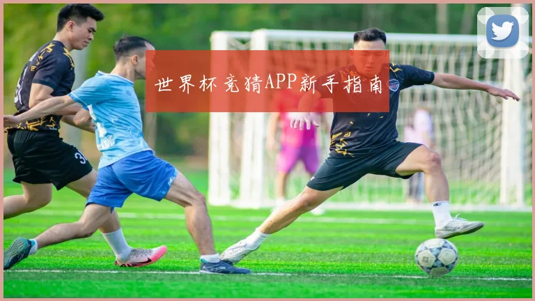 世界杯竞猜APP新手指南